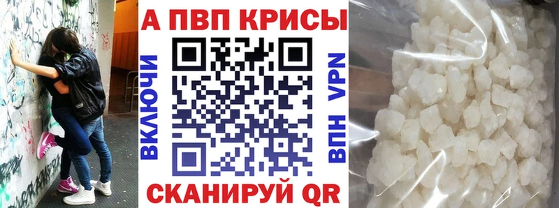 shop как зайти  Шуя  Альфа ПВП крисы CK 