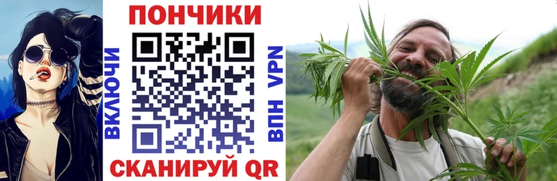 Шишки марихуана Bruce Banner  Шуя 